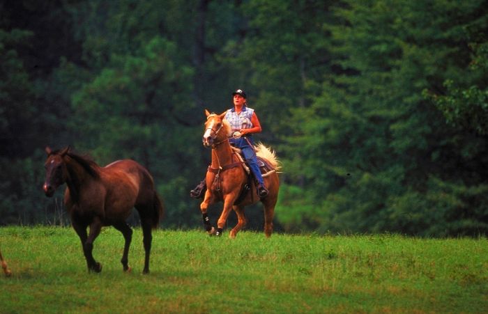 Southern Cross Heartland of Georgia Ranch