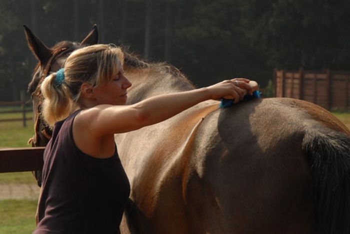 Southern Cross Heartland of Georgia Ranch