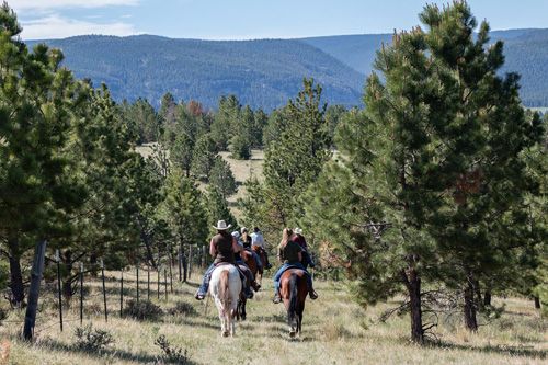 Little Belt Mountain Ranch