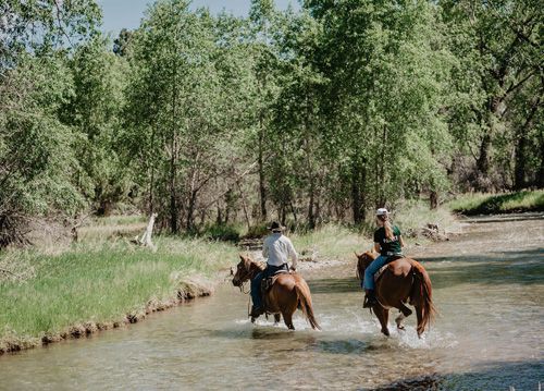 Little Belt Mountain Ranch