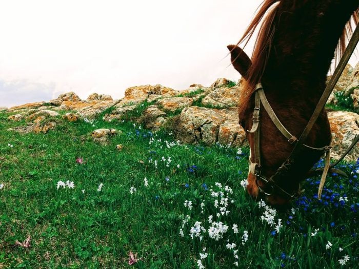 Armenia with comfort