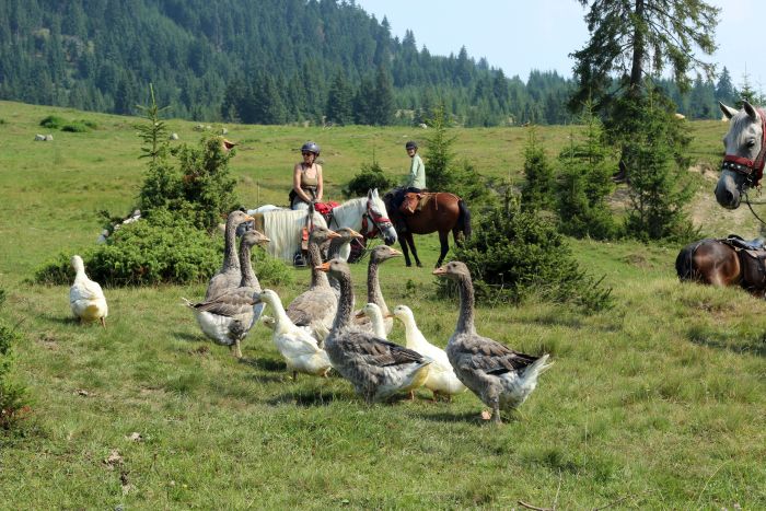 Carpathian Adventure Trail