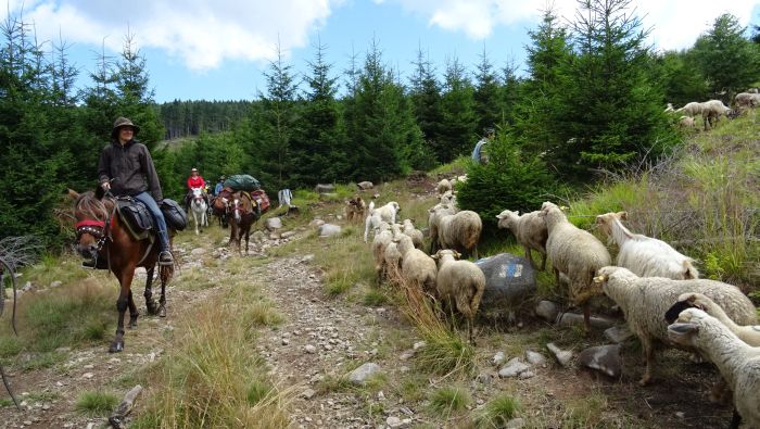 Carpathian Adventure Trail