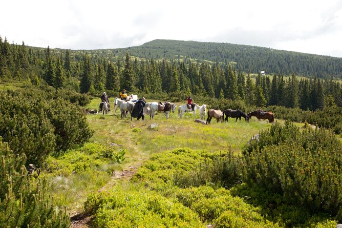 Carpathian Adventure Trail