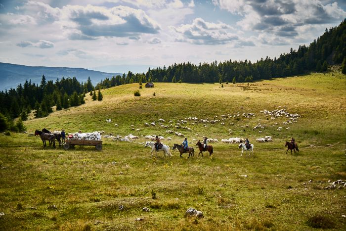 Carpathian Adventure Trail
