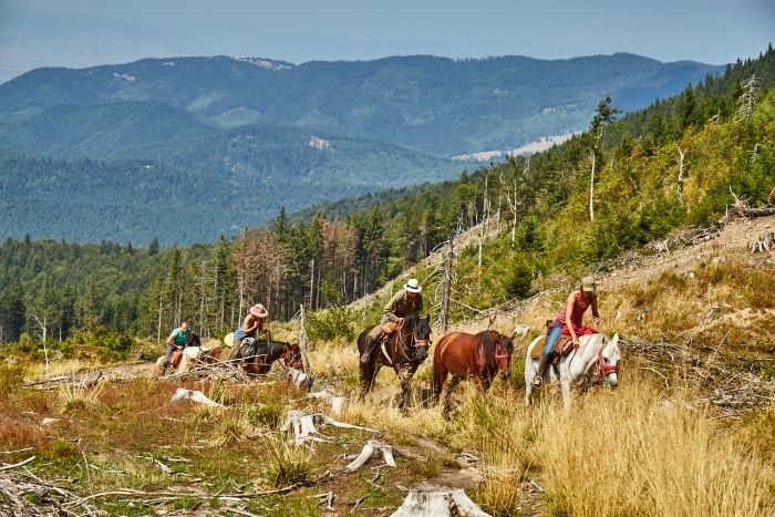Carpathian Adventure Trail