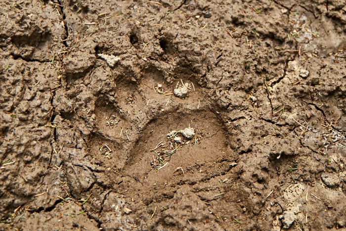 Carpathian Adventure Trail