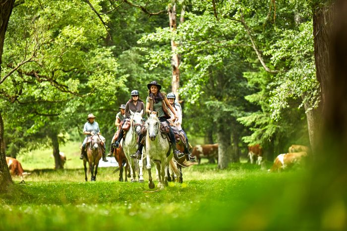 Carpathian Adventure Trail