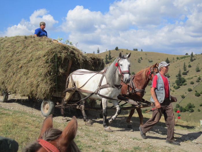 Carpathian Adventure Trail