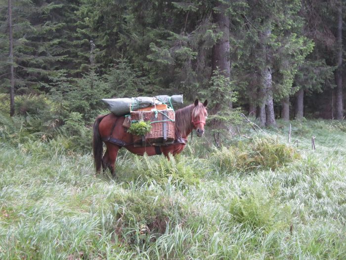 Carpathian Adventure Trail