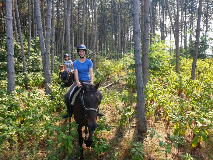 Star rides through the Hungarian steppe