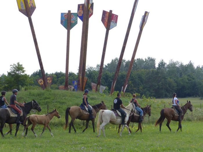 Star rides through the Hungarian steppe