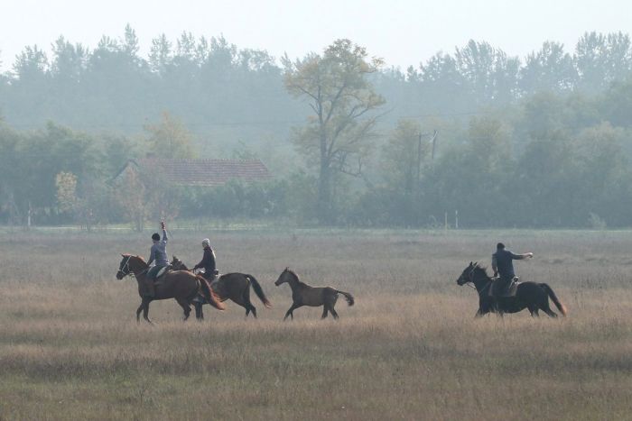 Star rides through the Hungarian steppe