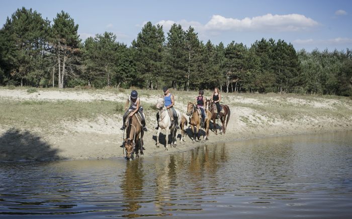 Star rides through the Hungarian steppe