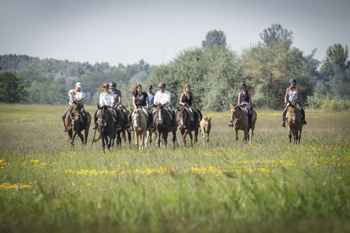 Star rides through the Hungarian steppe