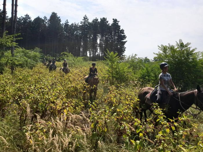 Star rides through the Hungarian steppe (7/5 days)