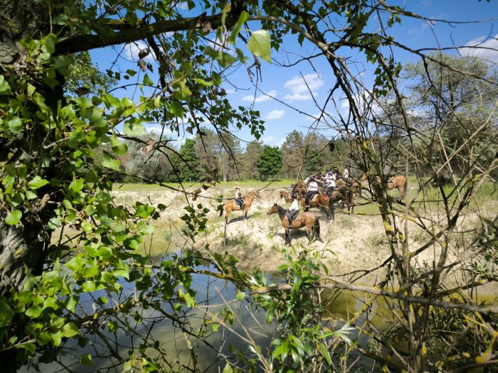 Star rides through the Hungarian steppe (7/5 days)