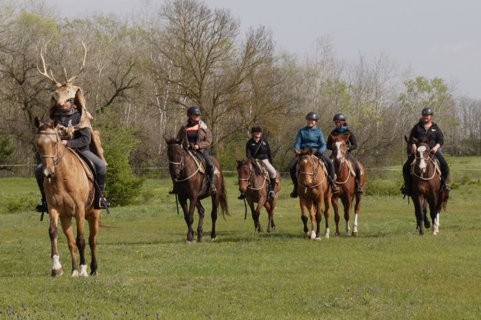 Star rides through the Hungarian steppe (7/5 days)
