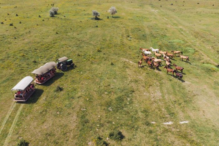 Star rides through the Hungarian steppe (7/5 days)