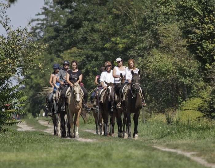 Star rides through the Hungarian steppe (7/5 days)