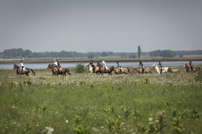 Star rides through the Hungarian steppe