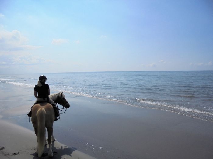 Provence & Camargue Rides
