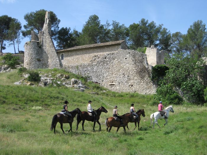 Provence & Camargue Rides