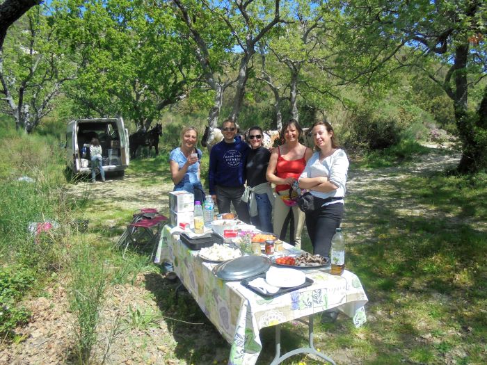 Provence & Camargue Rides