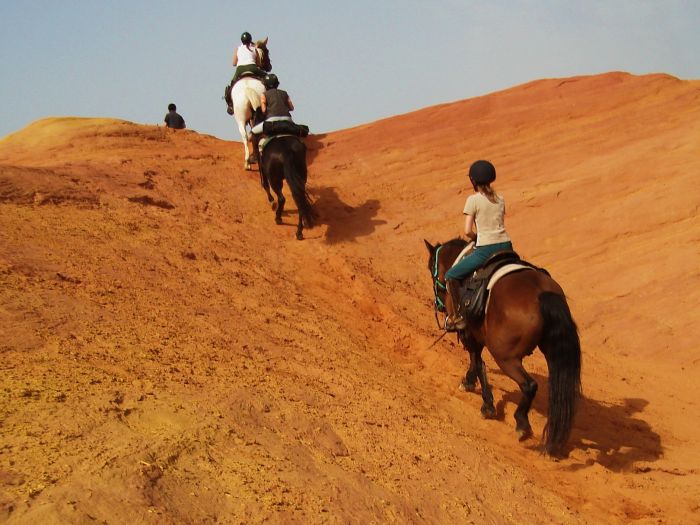 Provence & Camargue Rides
