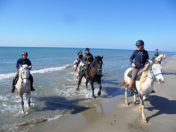 Provence & Camargue Rides