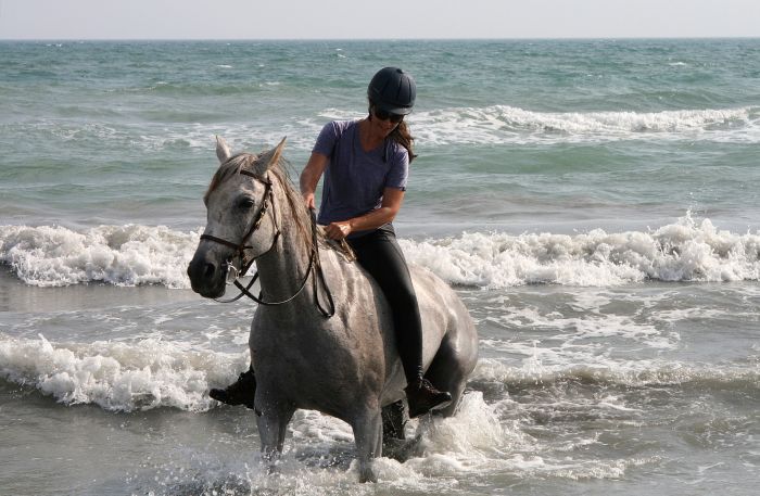 Provence & Camargue Rides