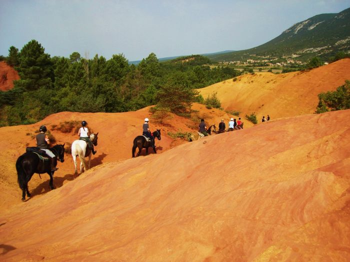 Provence & Camargue Rides