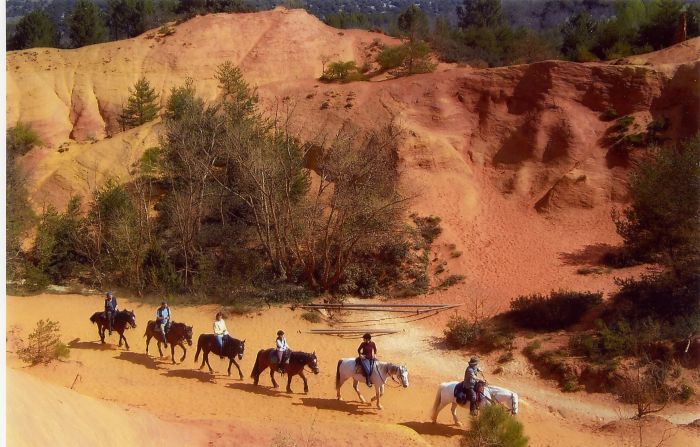 Provence & Camargue Rides
