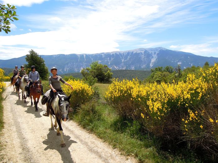 Provence & Camargue Rides
