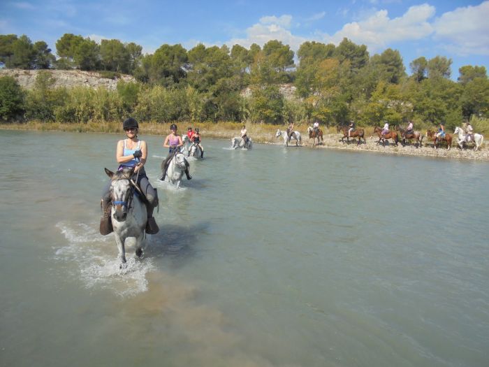 Provence & Camargue Rides