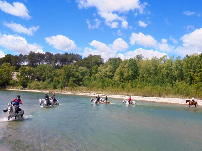 Provence & Camargue Rides