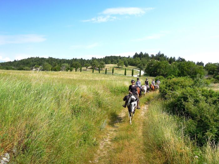 Provence & Camargue Rides