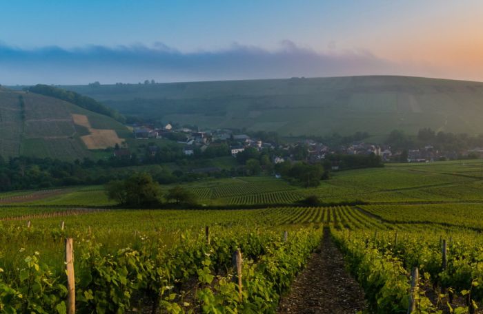Sancerre Whisky & Wine Trail