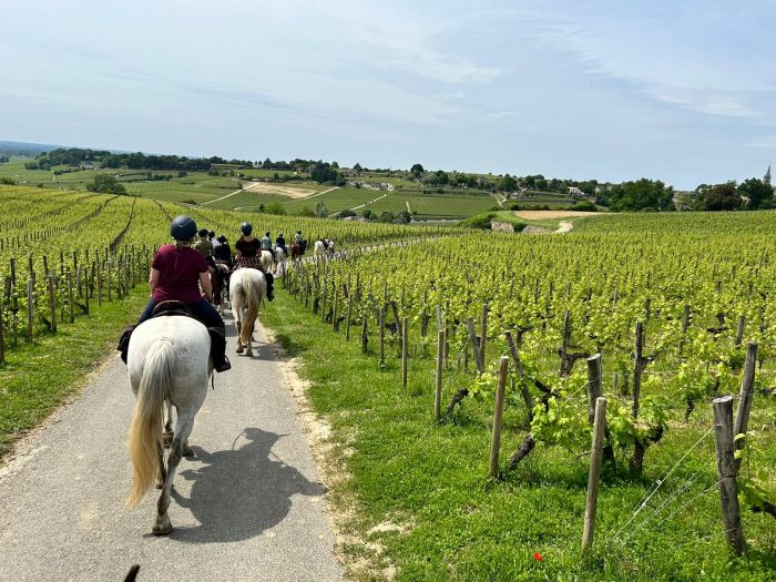 Sancerre Whisky & Wine Trail