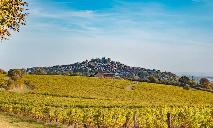 Sancerre Whisky & Wine Trail