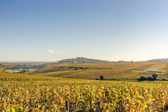 Sancerre Whisky & Wine Trail