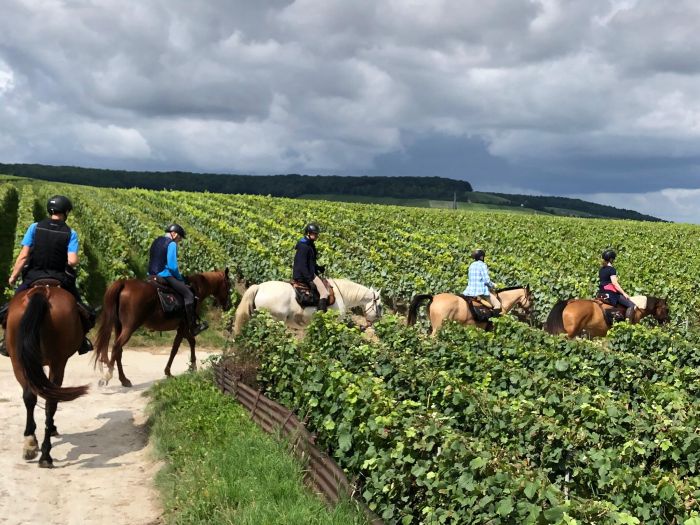 Sancerre Whisky & Wine Trail