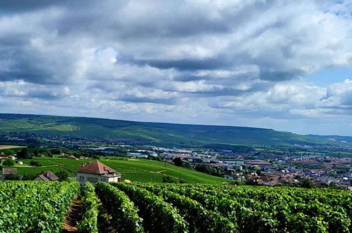 Sancerre Whisky & Wine Trail