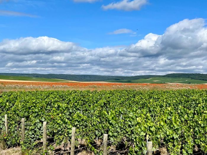 Sancerre Whisky & Wine Trail