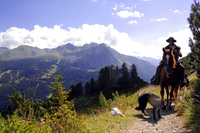Panorama Trails through the Alps