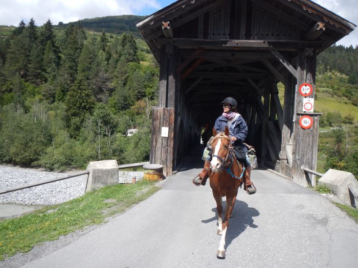 Panorama Trails through the Alps