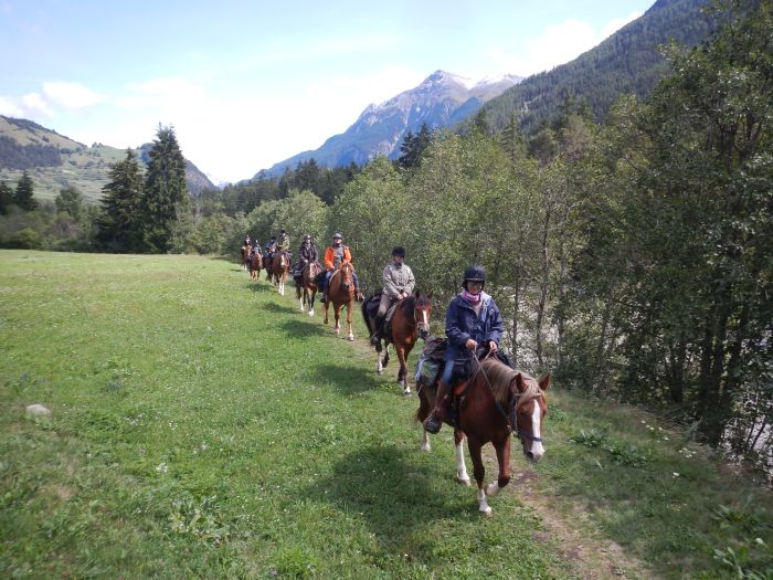 Panorama Trails through the Alps