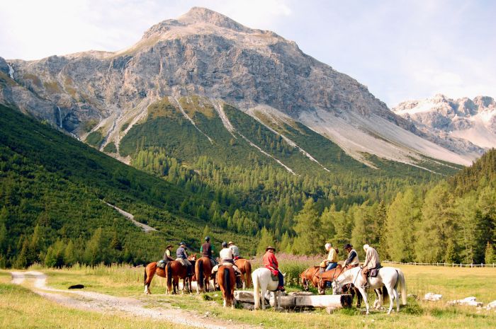Panorama Trails through the Alps