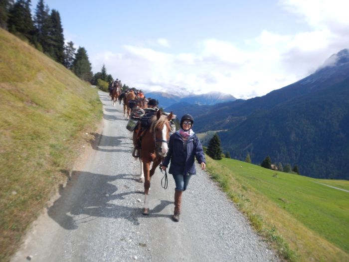 Panorama Trails through the Alps