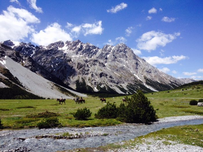 Panorama Trails through the Alps